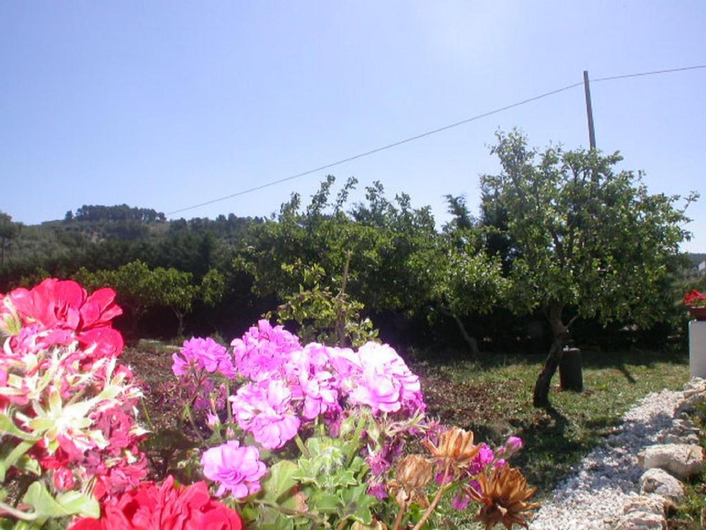 B&B La Formichina Peschici Exterior photo